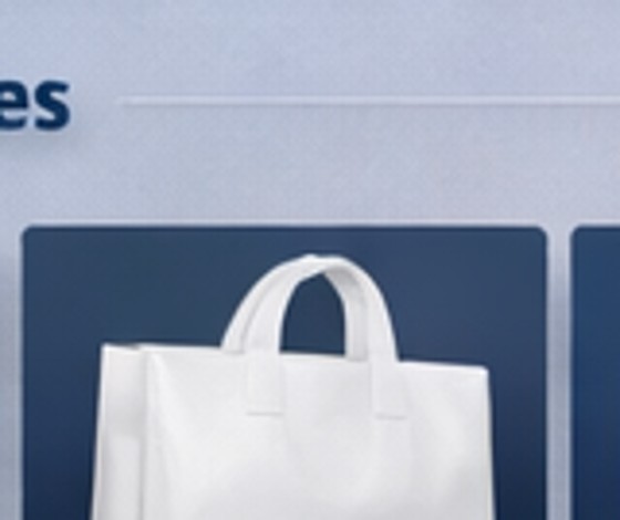 Designer shopping bag (placeholder)